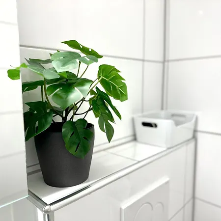 Mit See- Und Bergblick