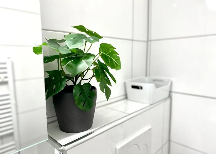 Mit See- Und Bergblick